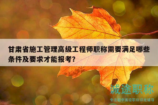 甘肅省施工管理高級(jí)工程師職稱需要滿足哪些條件及要求才能報(bào)考？