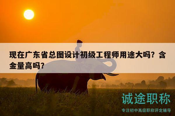 現(xiàn)在廣東省總圖設(shè)計(jì)初級(jí)工程師用途大嗎？含金量高嗎？