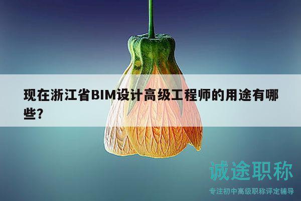 現(xiàn)在浙江省BIM設(shè)計(jì)高級(jí)工程師的用途有哪些？
