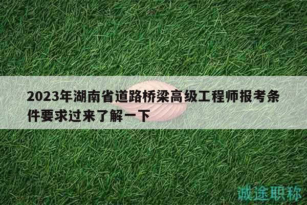 2023年湖南省道路橋梁高級工程師報考條件要求過來了解一下