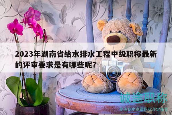 2023年湖南省給水排水工程中級(jí)職稱最新的評(píng)審要求是有哪些呢？