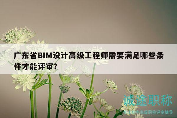 廣東省BIM設計高級工程師需要滿足哪些條件才能評審？