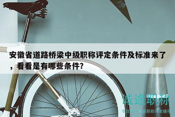 安徽省道路橋梁中級職稱評定條件及標(biāo)準(zhǔn)來了，看看是有哪些條件？