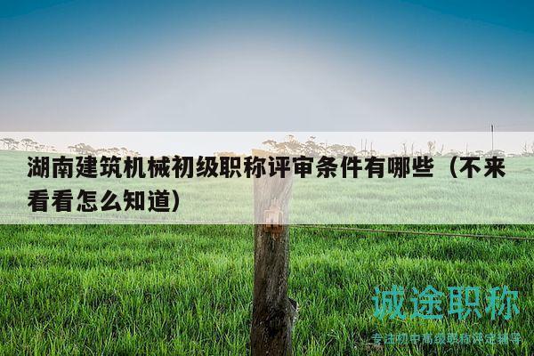 湖南建筑機械初級職稱評審條件有哪些（不來看看怎么知道）
