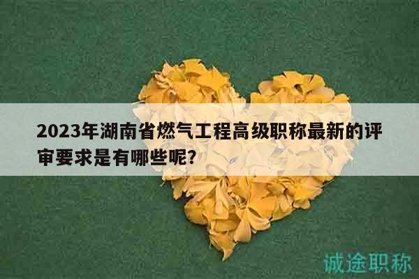 2023年湖南省燃?xì)夤こ谈呒?jí)職稱最新的評(píng)審要求是有哪些呢？