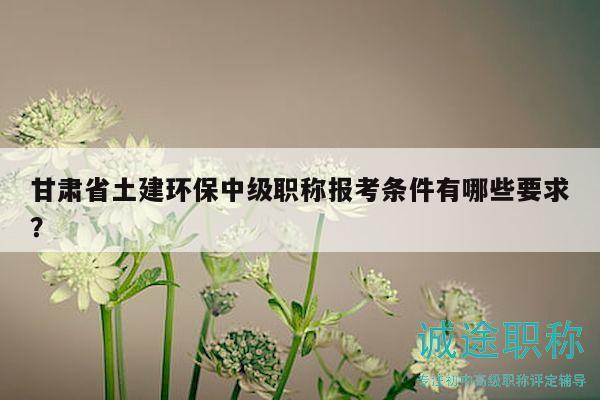 甘肅省土建環(huán)保中級職稱報考條件有哪些要求？