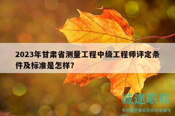 2023年甘肅省測(cè)量工程中級(jí)工程師評(píng)定條件及標(biāo)準(zhǔn)是怎樣？