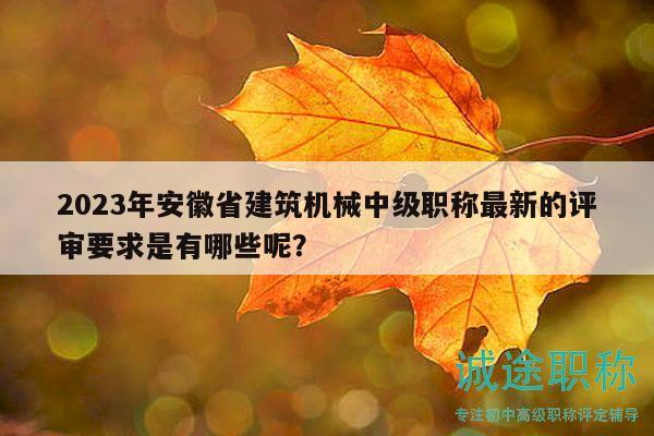 2023年安徽省建筑機(jī)械中級(jí)職稱最新的評(píng)審要求是有哪些呢？