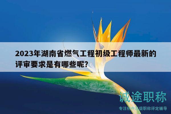 2023年湖南省燃?xì)夤こ坛跫壒こ處熥钚碌脑u審要求是有哪些呢？