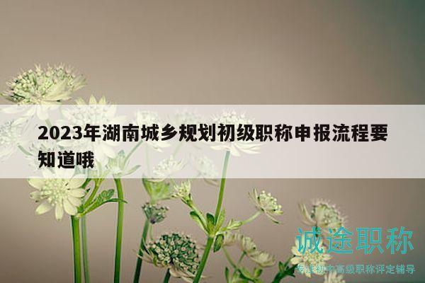 2023年湖南城鄉(xiāng)規(guī)劃初級(jí)職稱申報(bào)流程要知道哦