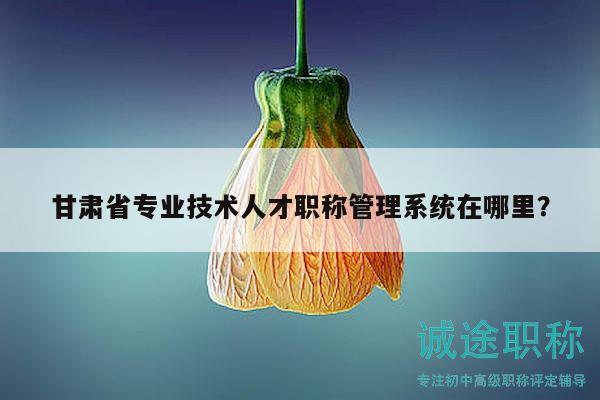 甘肅省專業(yè)技術(shù)人才職稱管理系統(tǒng)在哪里？