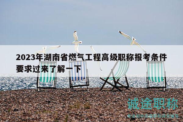 2023年湖南省燃?xì)夤こ谈呒壜毞Q報考條件要求過來了解一下