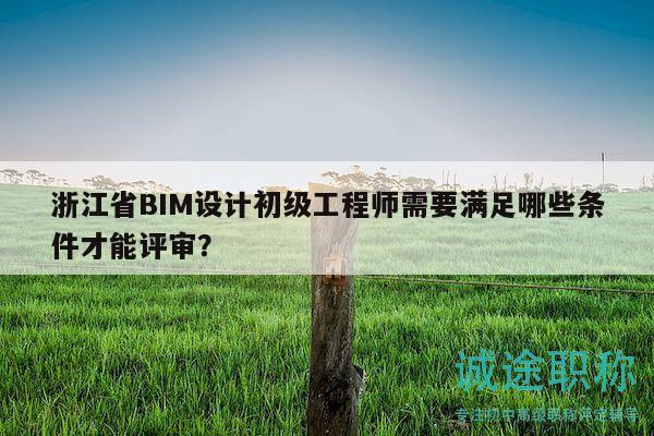 浙江省BIM設計初級工程師需要滿足哪些條件才能評審？