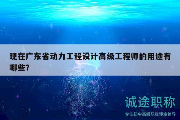 現在廣東省動力工程設計高級工程師的用途有哪些？