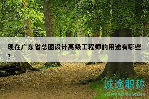 現(xiàn)在廣東省總圖設(shè)計高級工程師的用途有哪些？