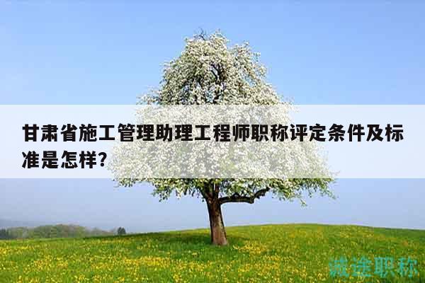 甘肅省施工管理助理工程師職稱評(píng)定條件及標(biāo)準(zhǔn)是怎樣？