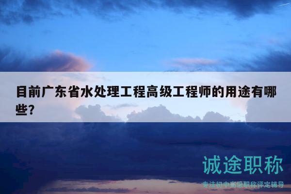 目前廣東省水處理工程高級工程師的用途有哪些？
