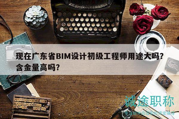 現(xiàn)在廣東省BIM設(shè)計(jì)初級工程師用途大嗎？含金量高嗎？