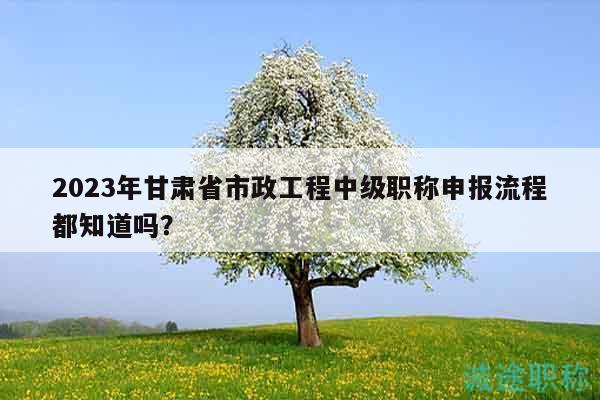 2023年甘肅省市政工程中級(jí)職稱(chēng)申報(bào)流程都知道嗎？