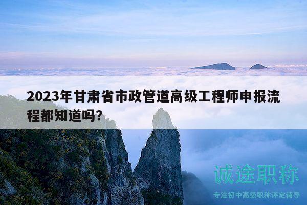 2023年甘肅省市政管道高級(jí)工程師申報(bào)流程都知道嗎？