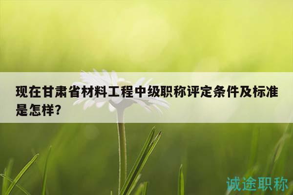 現(xiàn)在甘肅省材料工程中級職稱評定條件及標準是怎樣？