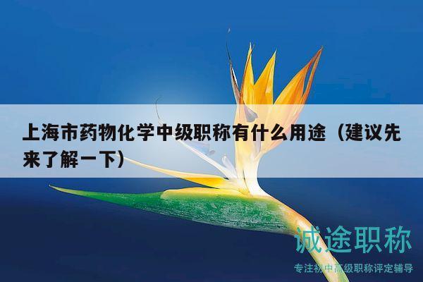 上海市藥物化學(xué)中級(jí)職稱(chēng)有什么用途（建議先來(lái)了解一下）