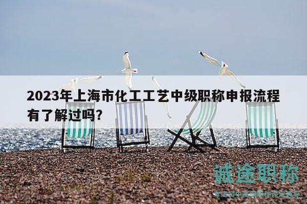 2023年上海市化工工藝中級職稱申報流程有了解過嗎？