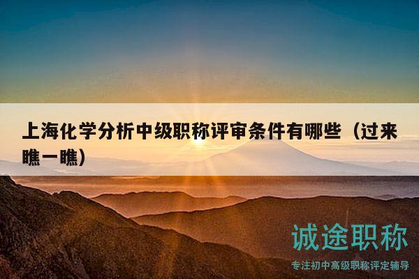 上?；瘜W(xué)分析中級職稱評審條件有哪些（過來瞧一瞧）