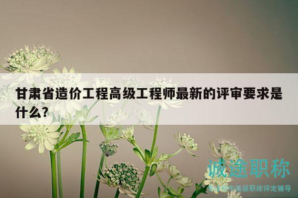 甘肅省造價(jià)工程高級(jí)工程師最新的評(píng)審要求是什么？