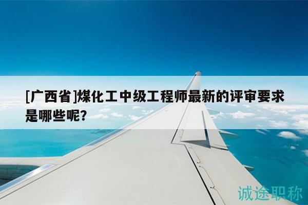 [廣西省]煤化工中級工程師最新的評審要求是哪些呢？