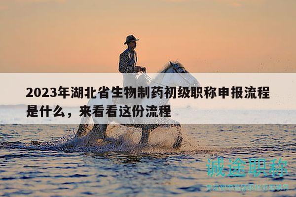 2023年湖北省生物制藥初級職稱申報流程是什么，來看看這份流程