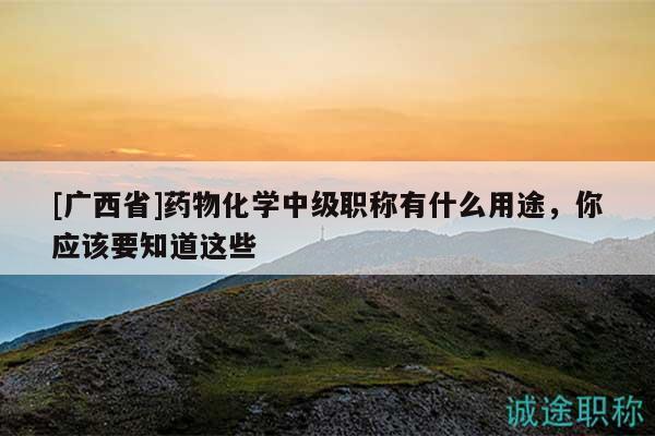 [廣西省]藥物化學(xué)中級(jí)職稱有什么用途，你應(yīng)該要知道這些