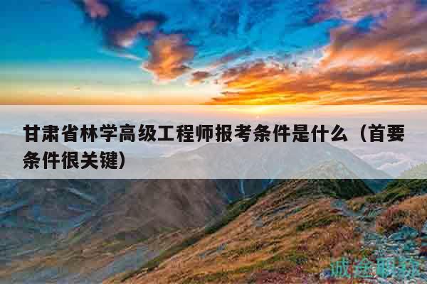 甘肅省林學高級工程師報考條件是什么（首要條件很關鍵）