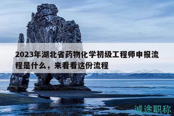 2023年湖北省藥物化學初級工程師申報流程是什么，來看看這份流程