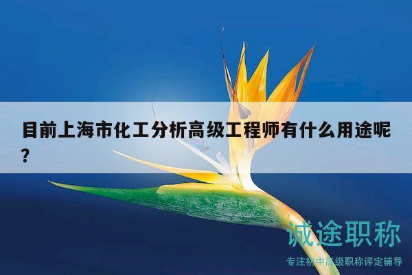 目前上海市化工分析高級工程師有什么用途呢？