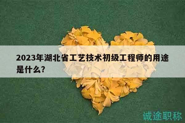 2023年湖北省工藝技術(shù)初級(jí)工程師的用途是什么？