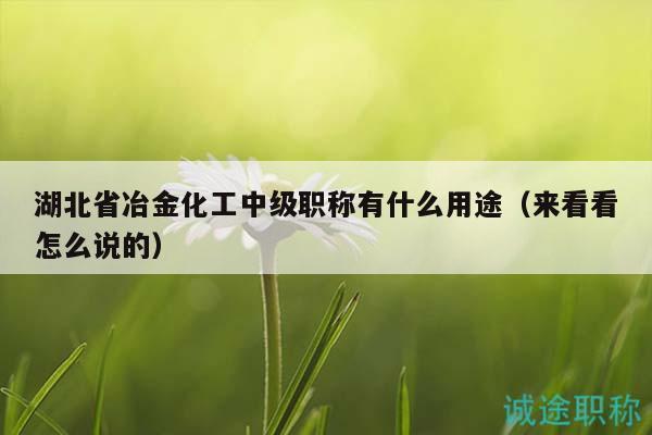 湖北省冶金化工中級職稱有什么用途（來看看怎么說的）