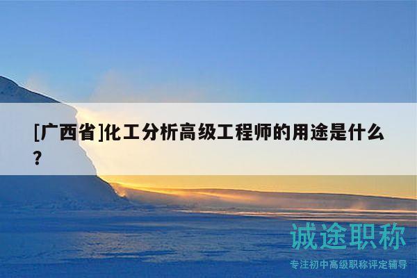 [廣西省]化工分析高級工程師的用途是什么？