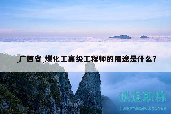 [廣西省]煤化工高級工程師的用途是什么？