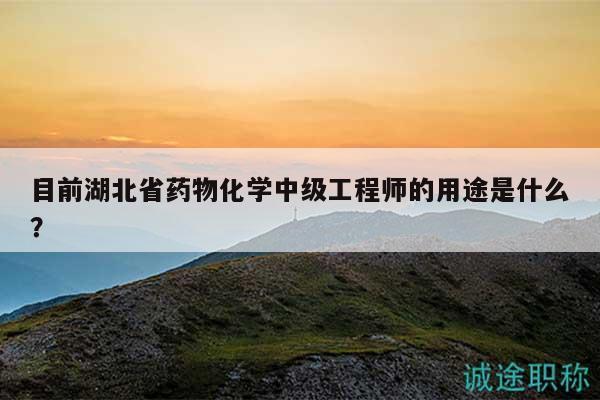 目前湖北省藥物化學中級工程師的用途是什么？