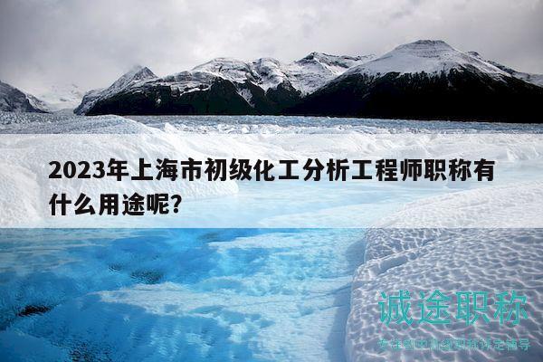 2023年上海市初級化工分析工程師職稱有什么用途呢？