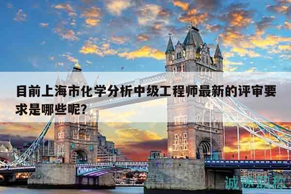 目前上海市化學(xué)分析中級工程師最新的評審要求是哪些呢？