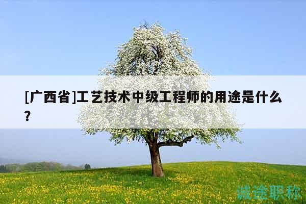 [廣西省]工藝技術(shù)中級(jí)工程師的用途是什么？
