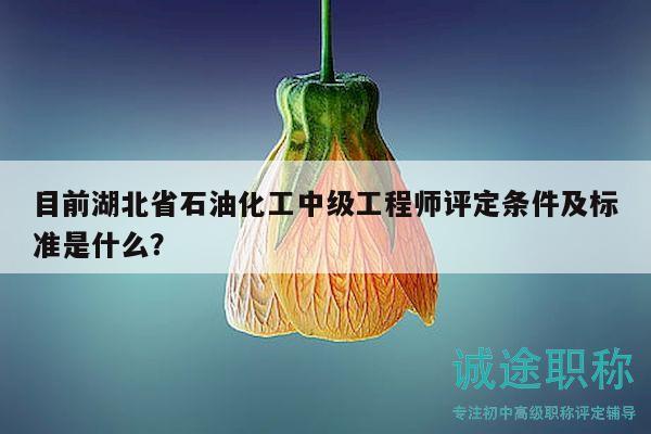 目前湖北省石油化工中級工程師評定條件及標(biāo)準(zhǔn)是什么？