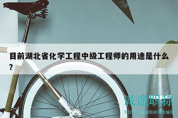 目前湖北省化學工程中級工程師的用途是什么？