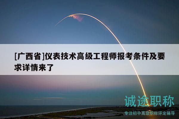[廣西省]儀表技術(shù)高級(jí)工程師報(bào)考條件及要求詳情來了