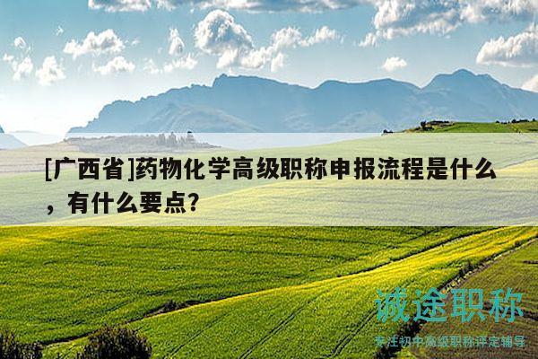 [廣西省]藥物化學(xué)高級職稱申報流程是什么，有什么要點？