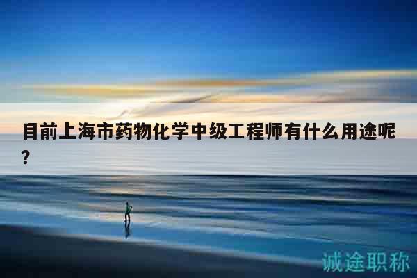 目前上海市藥物化學中級工程師有什么用途呢？