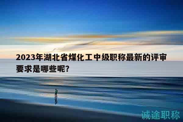 2023年湖北省煤化工中級職稱最新的評審要求是哪些呢？