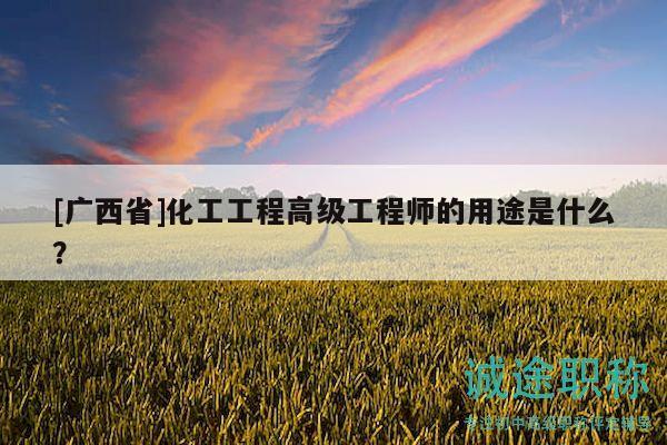 [廣西省]化工工程高級工程師的用途是什么？